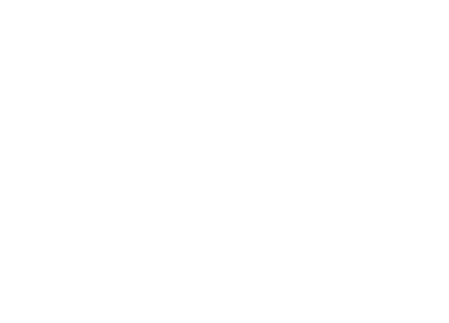 Bee and Bloom Logo